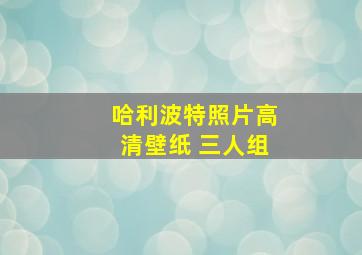 哈利波特照片高清壁纸 三人组